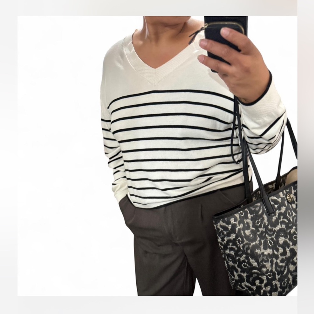 H&M Cream and Black Striped V-Neck Sweater